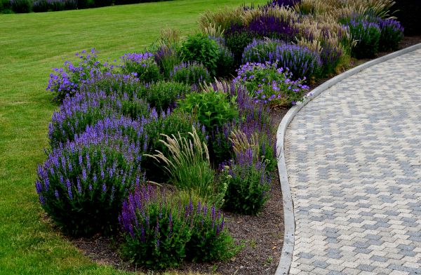 Sidewalk Curb Installation in Poulsbo