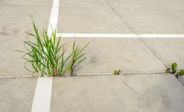 Concrete Parking Installation in Poulsbo